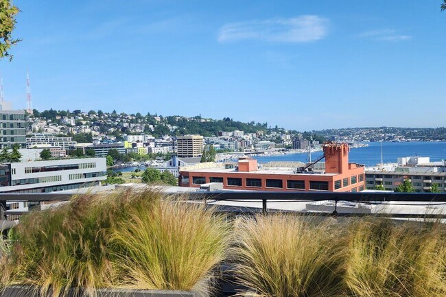 Mercerview Apartments, Seattle, WA 98109 - photo 2