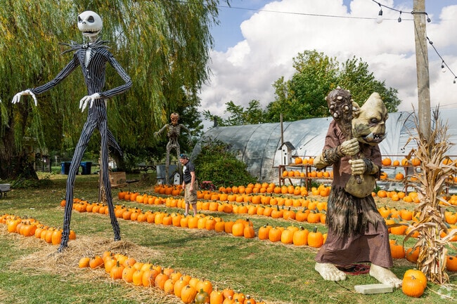 Bill & Gerry's Farm Market prepares for Halloween and sells pumpkins as well as Halloween decor for residents.