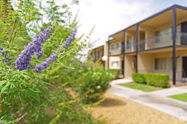 Park Arms Apartments, Las Vegas, NV 89104 - photo 6