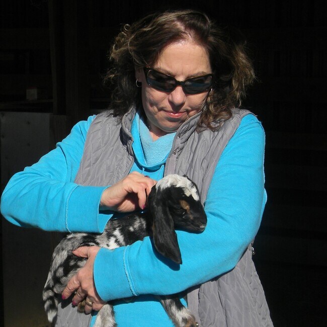 Bonnie Lovins | Real Estate Agent in Concord, NC - Homes.com