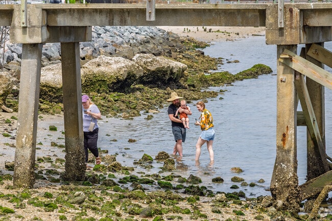 Families explore the rocky shoreline under the pier near Boiling Spring Lakes.