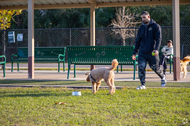 Dog parks are popular in the Lutz area.