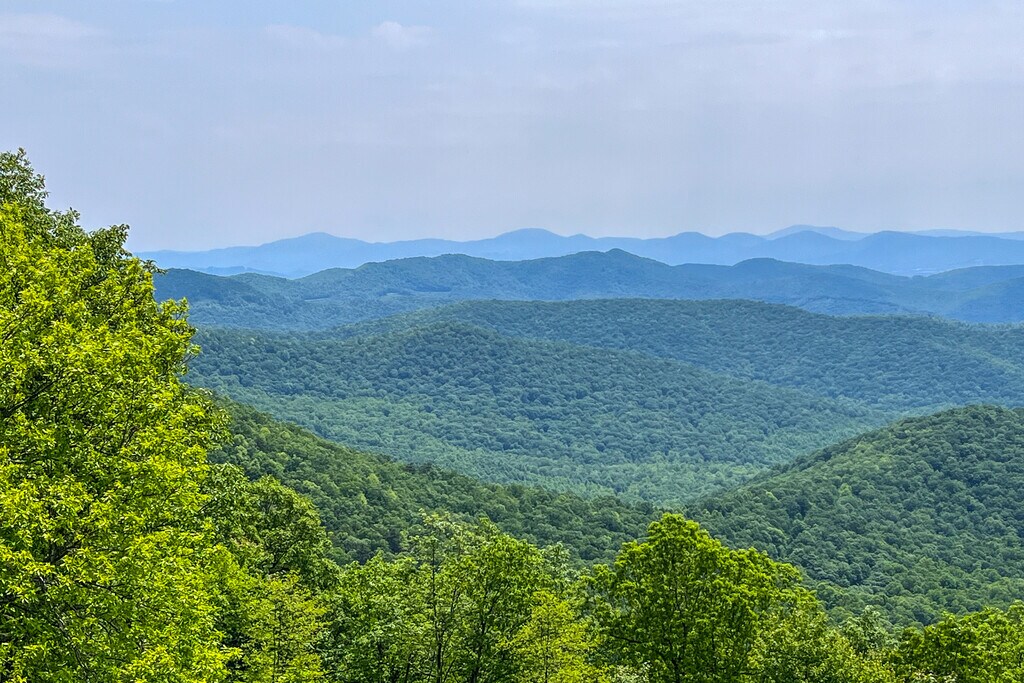 Royal Pines, NC City Guide About Living in Royal Pines