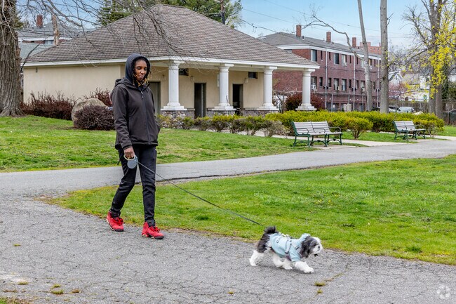 Monte Irvin Orange Park near Upper Vailsburg is a popular spot to walk with a furry friend.