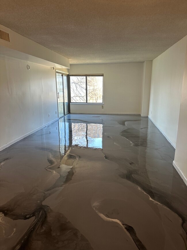 Living/ Dinning Area: With New epoxy flooring