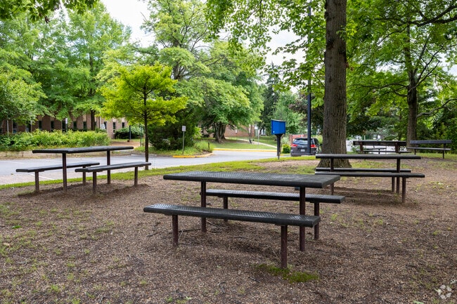 Westbriar Elementary School has a picnic area for students in Tysons Corner.