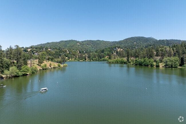 Take in the beauty of the forest by boat at Lake Gregory in Crestline.