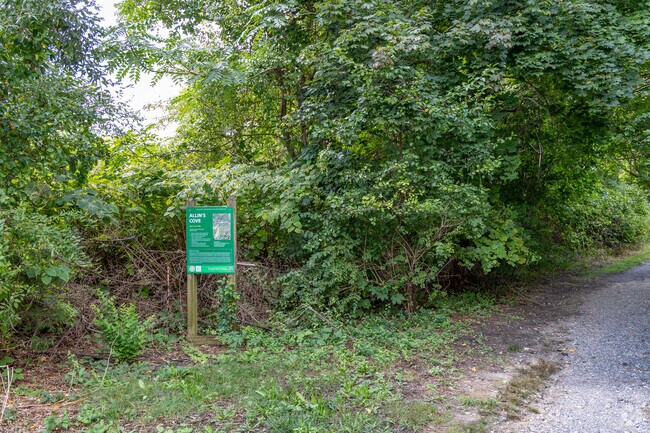 Allins Cove is a natural area in the Annawomscutt neighborhood preserved as a conservation area.