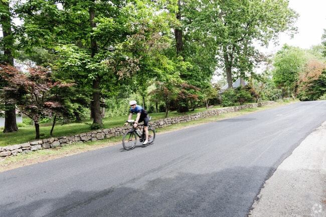 Cyclists abound and take advantage of hills and views in Palisades.