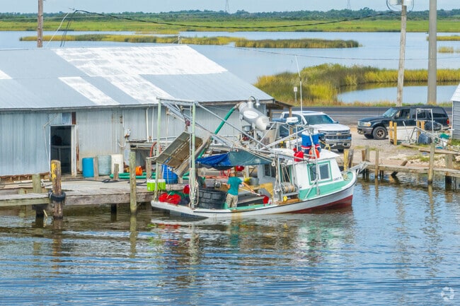 Shrimp caught in Hackberry are served in almost every state in America.