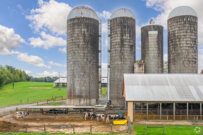 Fresh dairy products and farm stands line the roads of Eden.
