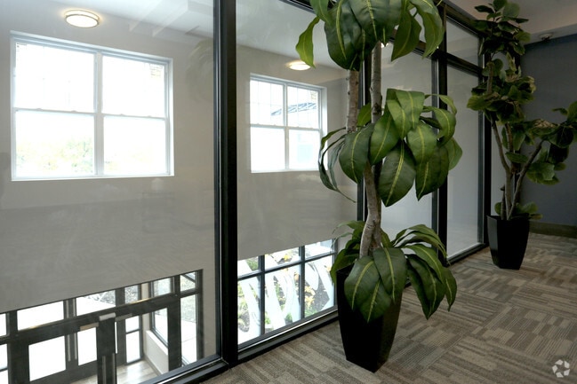 Meridia Transit Crossing, Garfield, NJ 07026 - photo 6