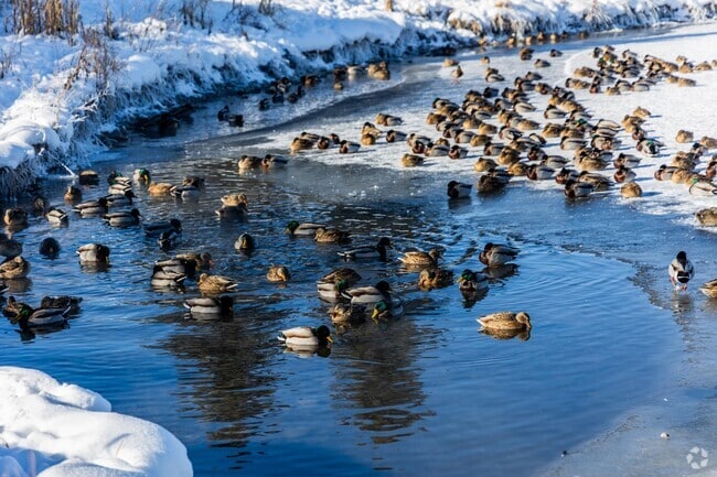 A variety of wildlife can be found in Valley West Park in Bozeman.