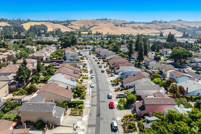An aerial view of Whitman-Wocine reveals wide streets, residential homes, and green spaces.