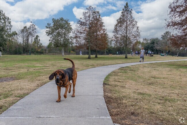 A dog and his owner enjoy a walk at Burbank Park in Gardere.
