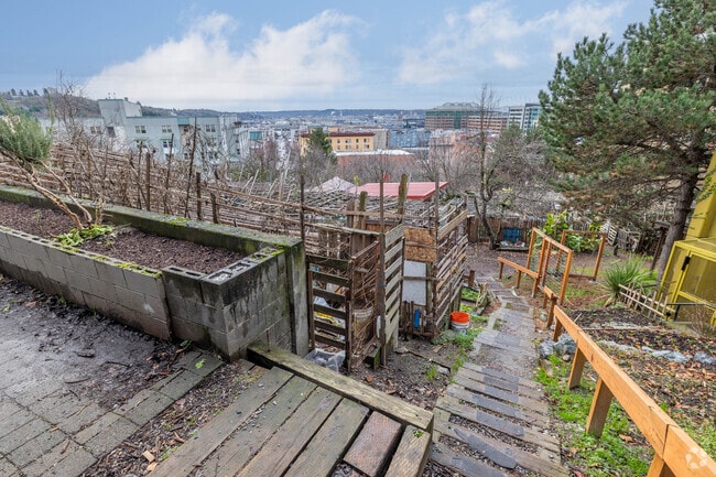 Walk along the path at Kobe Terrace in Chinatown-International District.
