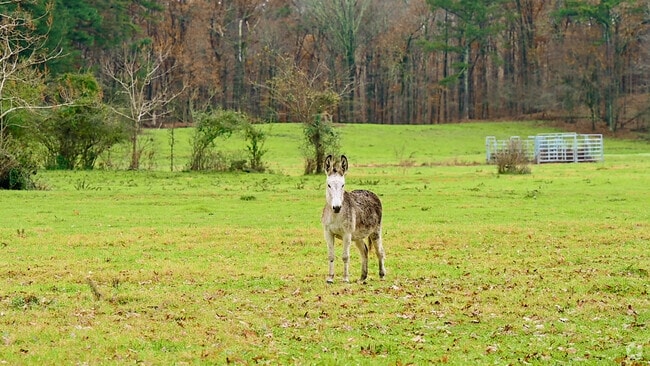 Neighborhood_Concord_ 557238_21225_SH_V1