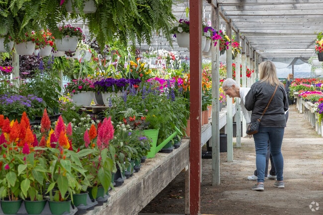 'Ole Henry Gardens provides flowers and plants to the Muskegon Heights neighborhood.