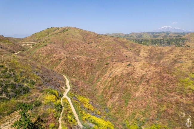 Colorful flowers grow along Three Hawks Trail in Upper Yucaipa-Rolling Hills.