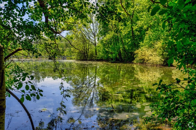 A small lake welcomes hikers to Wilderness Park in Saline's South Side.