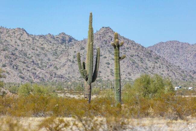 Maricopa is surrounded by desert scenery, a great place for those who like to adventure.