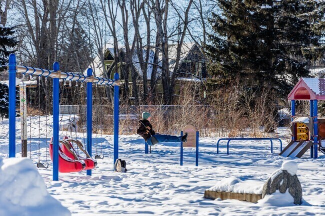 Ponderosa Pines it's common to people playing in local parks even in winter time.