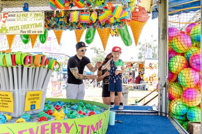 Carnival-goers try their luck playing games at the annual Itasca Fest.