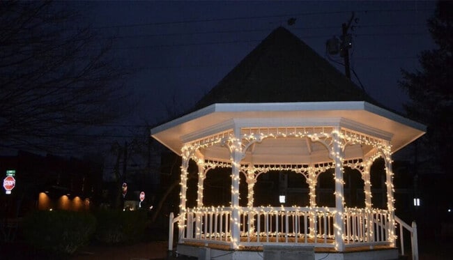 916 Yorkshire Ln, Zionsville, IN 46077 - photo 7