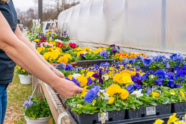 Jefferis Family Farm Market provides flowers, meats, dairy, produce and more in Thorndale.