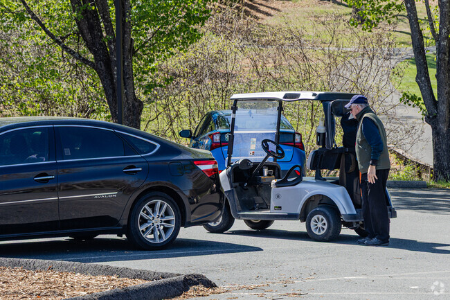 The golf course at Lake Monticello called this young man out for a day on the fairway.