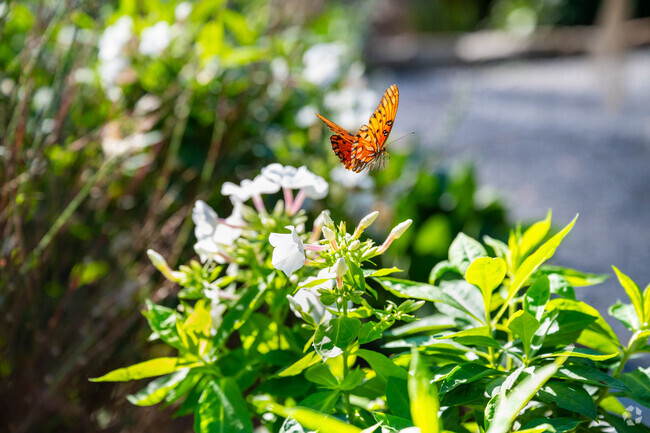 Oak Park's Botanical Gardens are a short, pleasant stroll from lovely Forest Park!