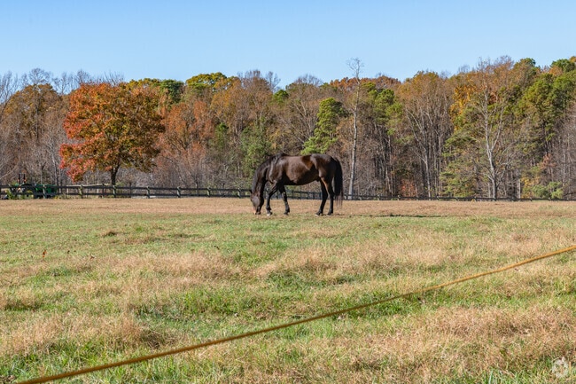 A horse grazing in the farmland of Manakin-Sabot.