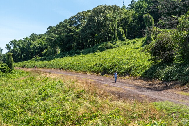 Hiking trails at Red Mountain Park lie minutes from Tarpley City.
