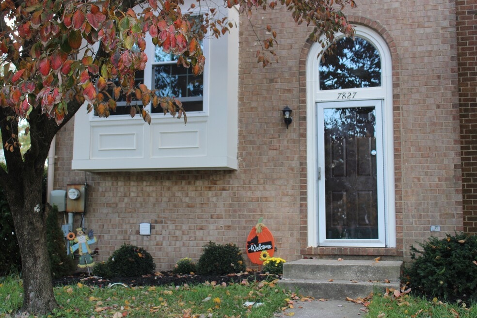 7827 Hidden Creek Way, Stoney Beach, MD 21226 - photo 1