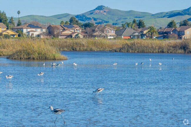 American Canyon residents can enjoy incredible natural beauty outside their front door.