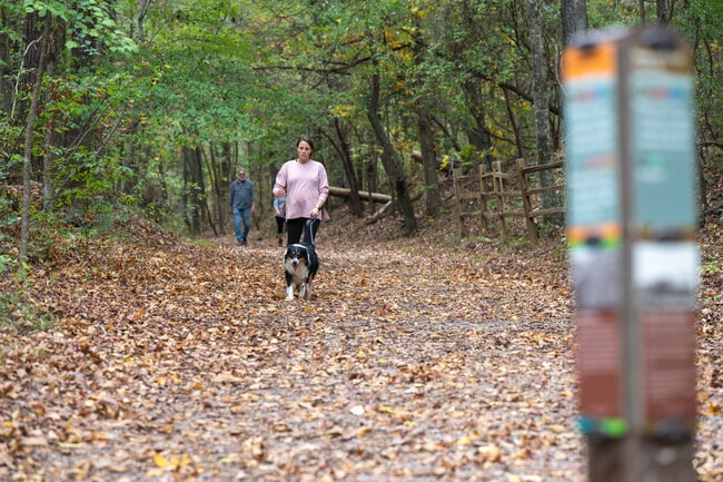 Explore the 1,200 acres of scenic trails at Red Mountain Park near Grasselli Heights.