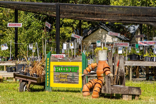 The Hodge Podge Nursery unites people and plants in Oak Hills Place, LA.