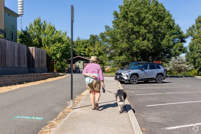 Going for a dog walk is a popular task for locals in Quiet Village.