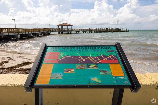 There is an active marine life that you can see and be part of if you are adventurous.