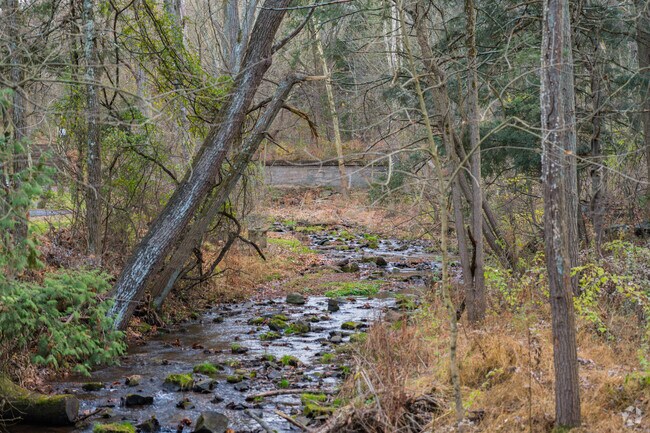 Enjoy the gentle flow of a creek in picturesque Pennsylvania in Brecknock.