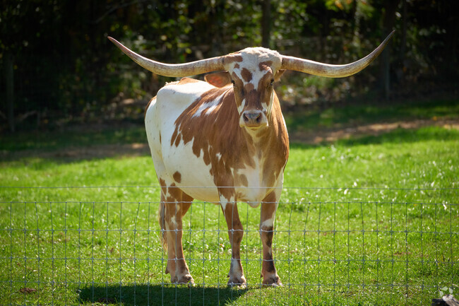 The Leitersburg community is made up largely of farms and agriculture.