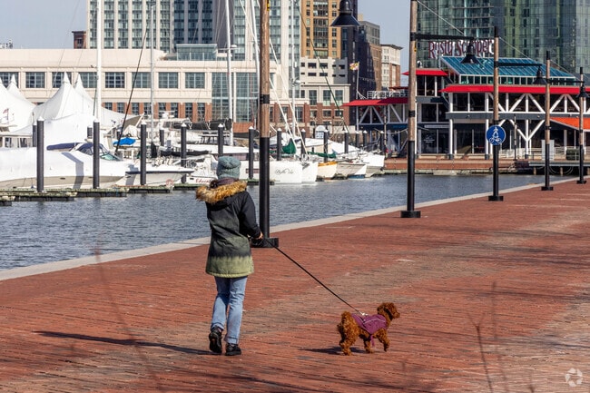 Just south of Harwood, a walk along the Inner Harbor Promenade makes for a relaxing afternoon.