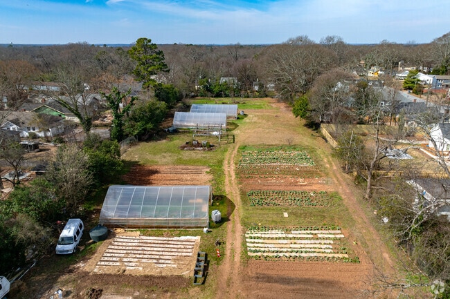 The 5-acre Metro Atlanta Urban Farm teaches the community how to grow vegetables in Center Park.