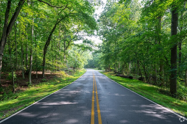 The scenic shaded road through Greenbelt Park.
