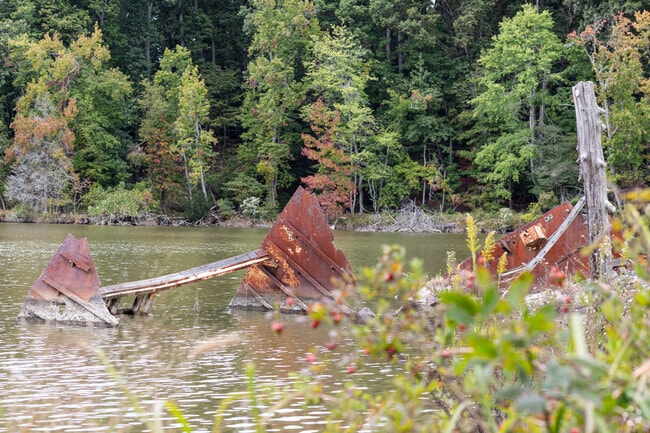 Hidden shipwrecks dot Nanjemoy's Potomac River coast and Mallows Bay Park.