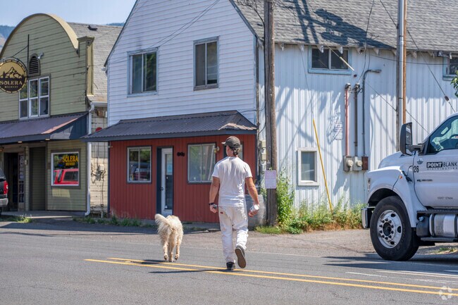 A man walking his dog in the Parkdale area.