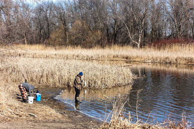 Rice Creek is one of many fishing spots near Centerville.