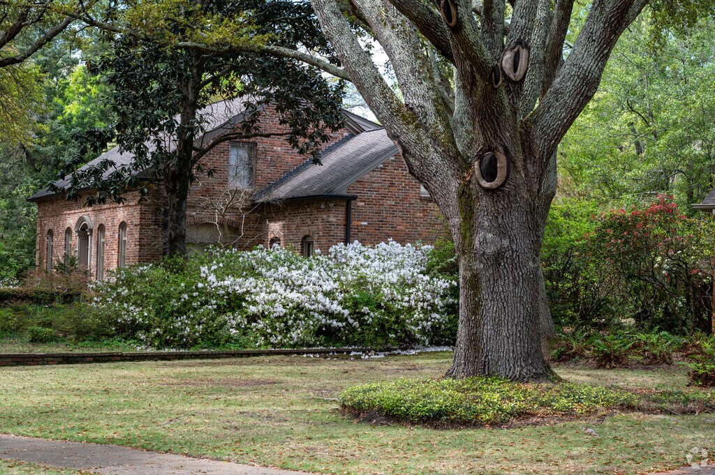 About Great McGehee Estates Schools, Demographics, Things to Do