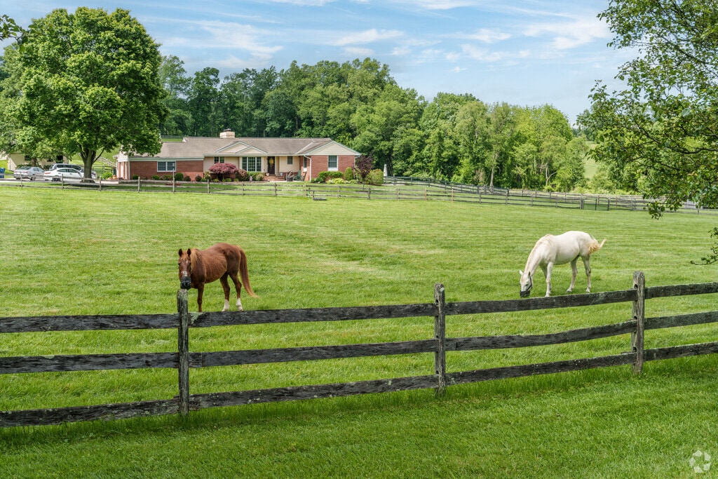 It’s common to see horses enjoying a quiet meal in front yards across New London Township.