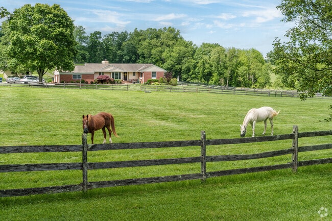 In Landenberg, it’s not unusual to see horses grazing in someone’s front yard.